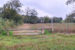 1_20250807_202720